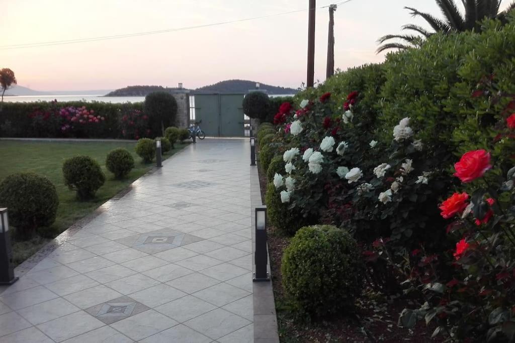 Ebony And Ivory Suites Dhrosiá Ngoại thất bức ảnh