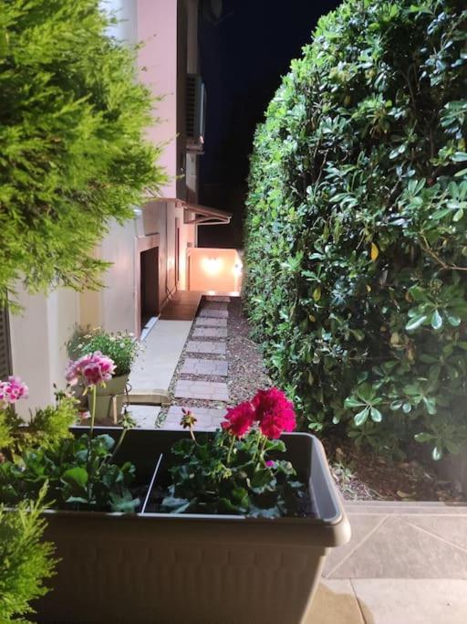 Ebony And Ivory Suites Dhrosiá Ngoại thất bức ảnh